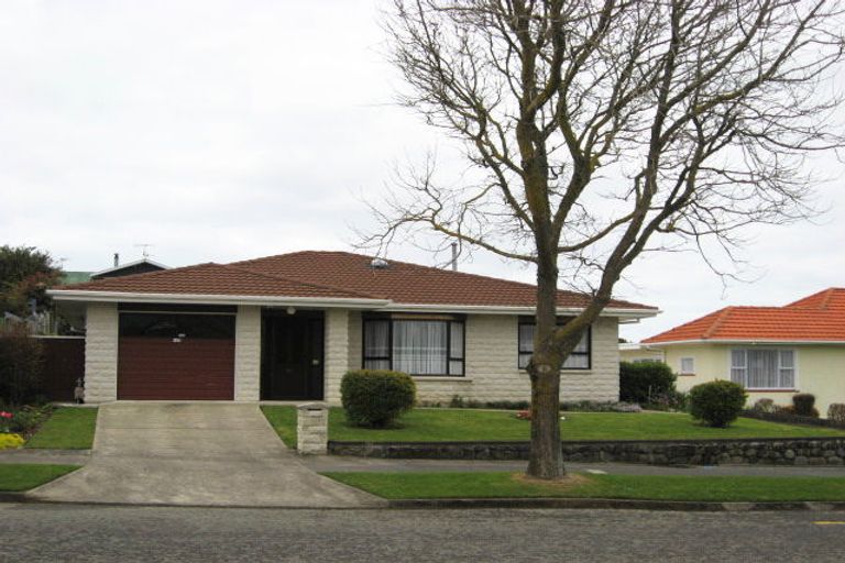 Photo of property in 125 Winchester Street, Levin, 5510