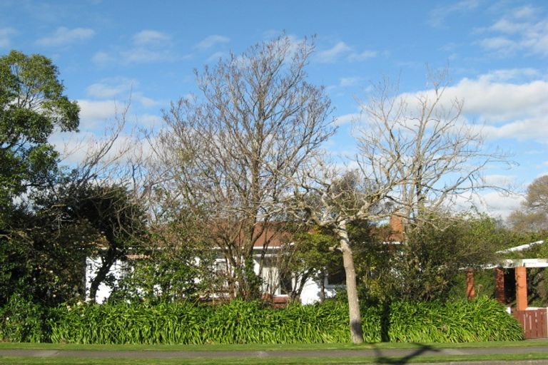 Photo of property in 123 Tutaenui Road, Marton, 4710