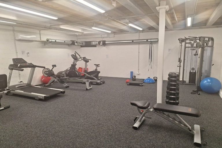 Photo of property in 209/8 Kingsland Terrace, Kingsland, Auckland, 1021