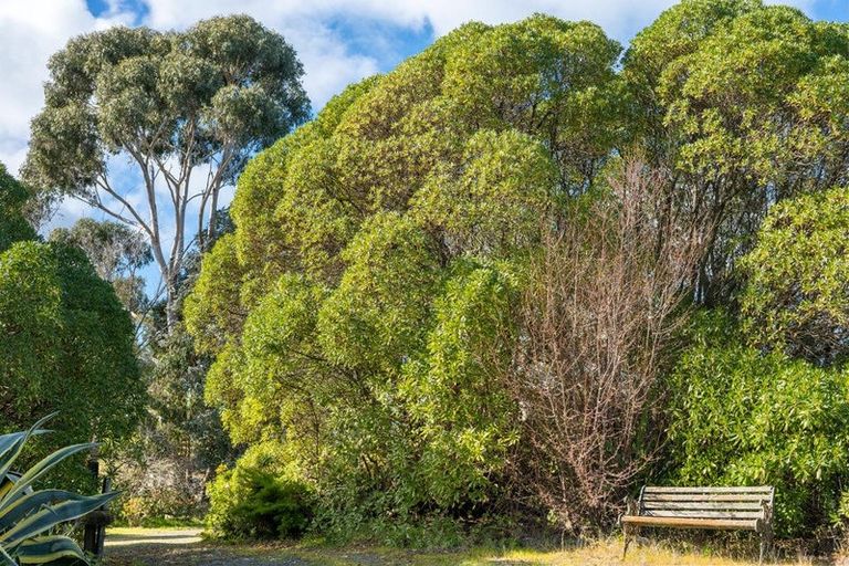 Photo of property in 1960 Redwood Pass Road, Seddon, Blenheim, 7274