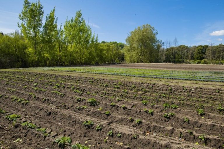 Photo of property in 1468 Matawai Road, Ormond, Gisborne, 4071