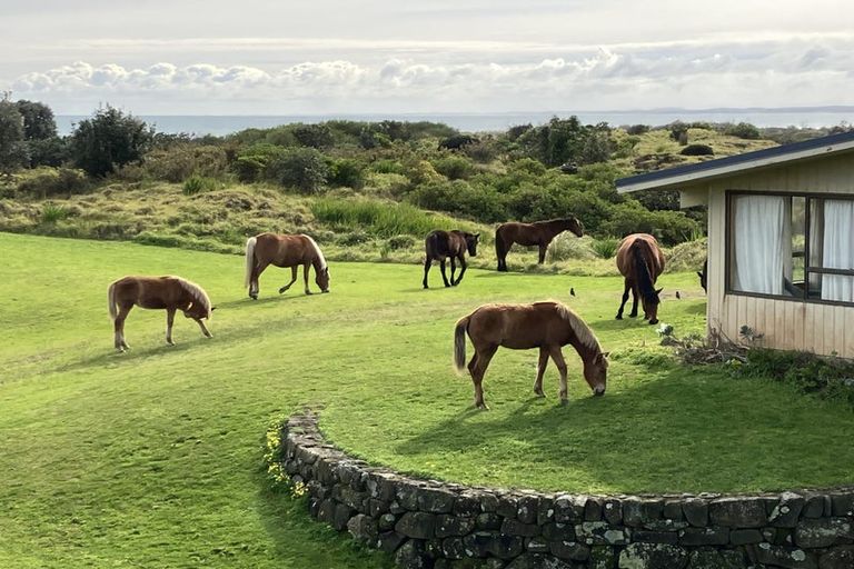 Photo of property in 42 Kaka Street, Ahipara, Kaitaia, 0481