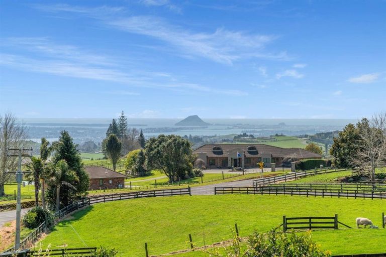 Photo of property in 4 Adrine Lane, Ohauiti, Tauranga, 3173