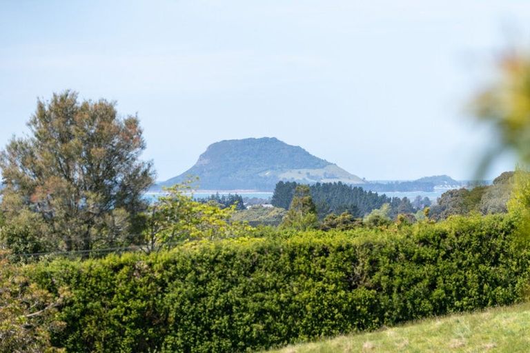 Photo of property in 313 Youngson Road, Whakamarama, Tauranga, 3179