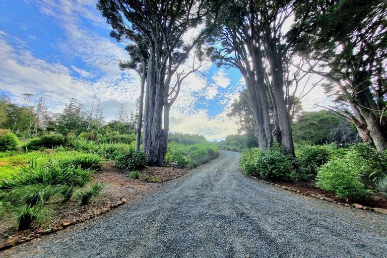 Photo of property in 629e Tara Road, Mangawhai, Kaiwaka, 0573