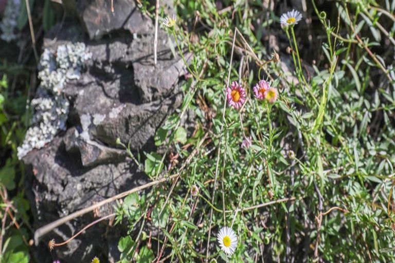 Photo of property in 78 Russell Road, Huntly, 3700