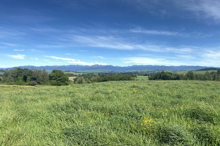 Photo of property in 490 Bluff Rangitumau Road, Rangitumau, Masterton, 5871