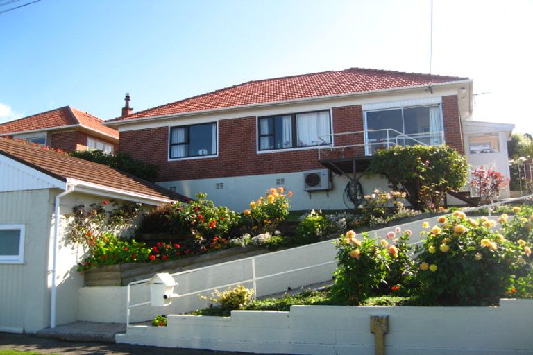 Photo of property in 51 Greenhill Avenue, Wakari, Dunedin, 9010
