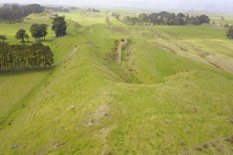 Photo of property in 358 Foxton Shannon Road, Foxton, 4893