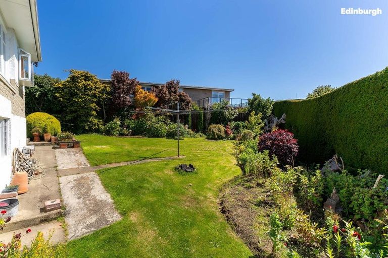 Photo of property in 146a Highgate, Roslyn, Dunedin, 9010