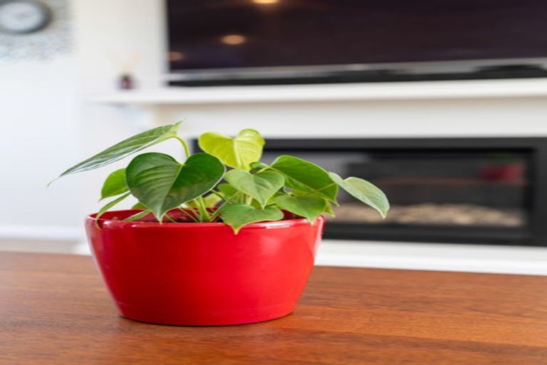 Photo of property in 3 Tucker Close, Leamington, Cambridge, 3432