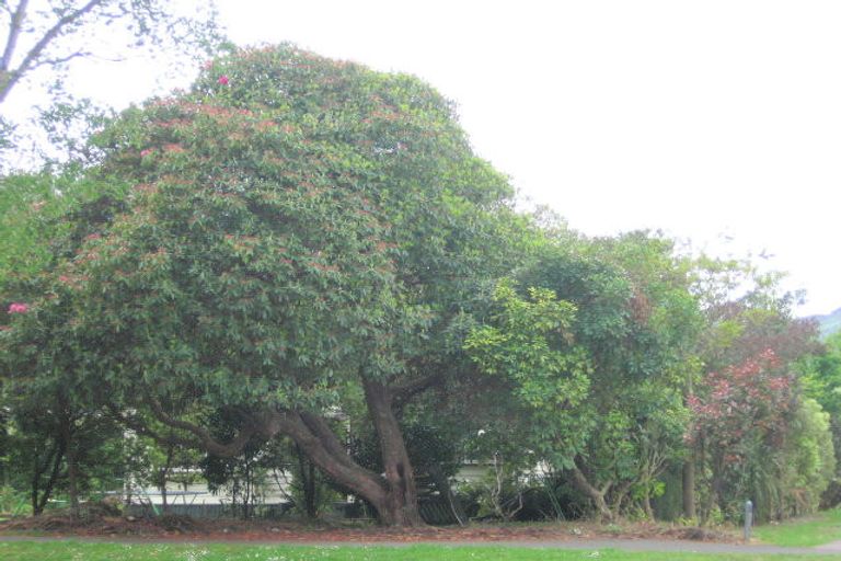 Photo of property in 80 Stanley Avenue, Te Aroha, 3320