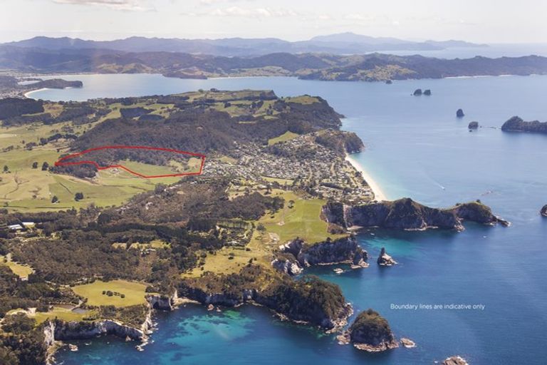 Photo of property in 94 Hahei Beach Road, Hahei, Whitianga, 3591