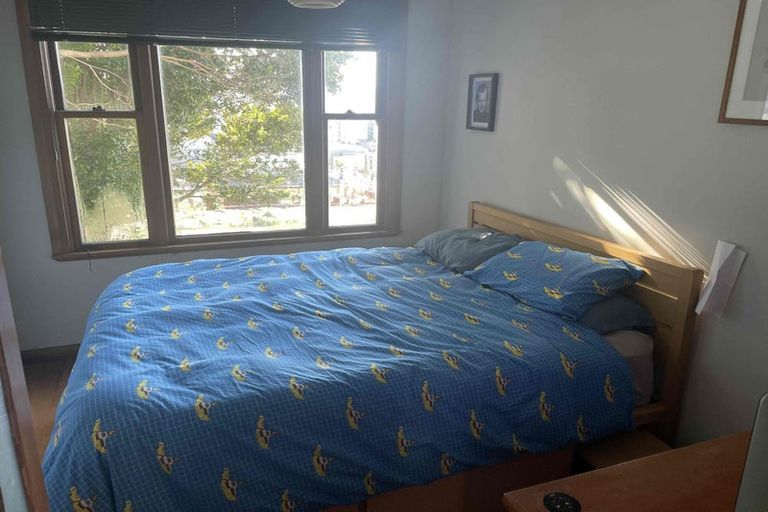 Photo of property in 55 Hankey Street, Mount Cook, Wellington, 6011