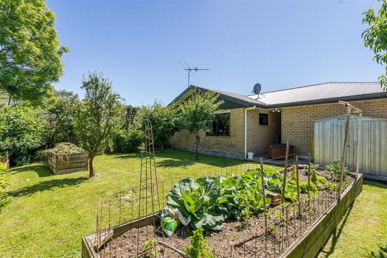 Photo of property in 50 Sussex Street, Masterton, 5810
