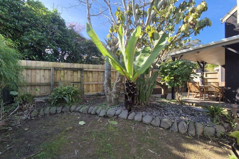 Photo of property in 527 Kapanga Road, Coromandel, 3506