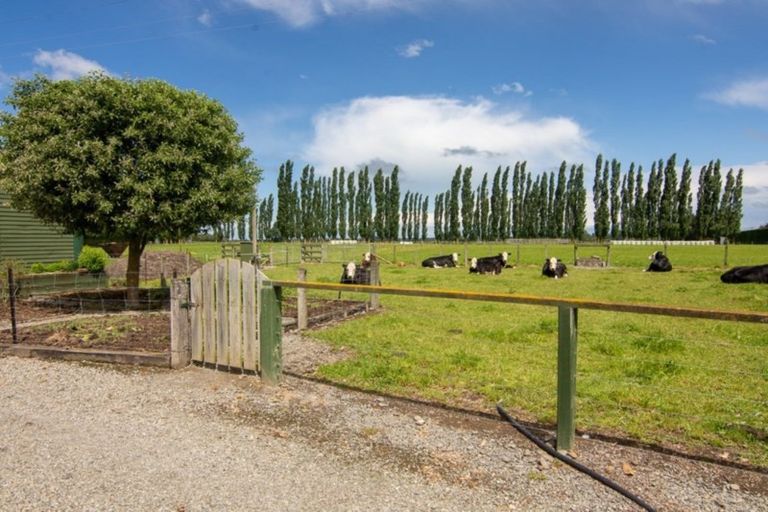 Photo of property in 279 Longbeach Road, Willowby, Ashburton, 7773