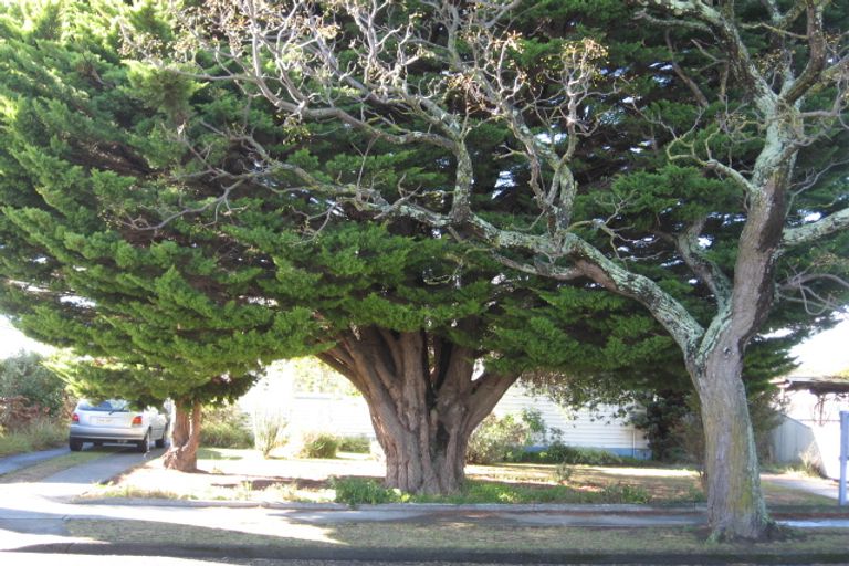 Photo of property in 20 Barker Road, Marewa, Napier, 4110