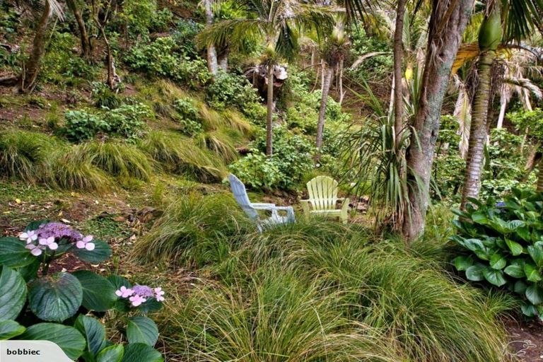 Photo of property in 54 Beach Valley Road, Piha, New Lynn, 0772