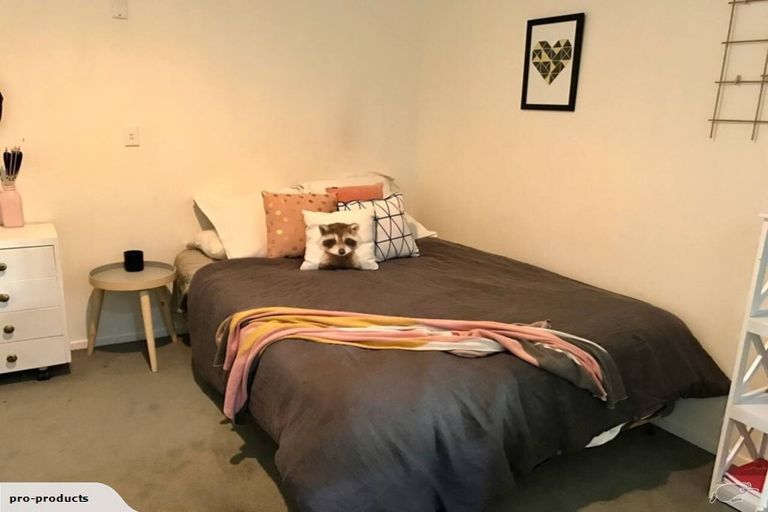 Photo of property in The Plumbers Building, 1a/124 Wakefield Street, Te Aro, Wellington, 6011