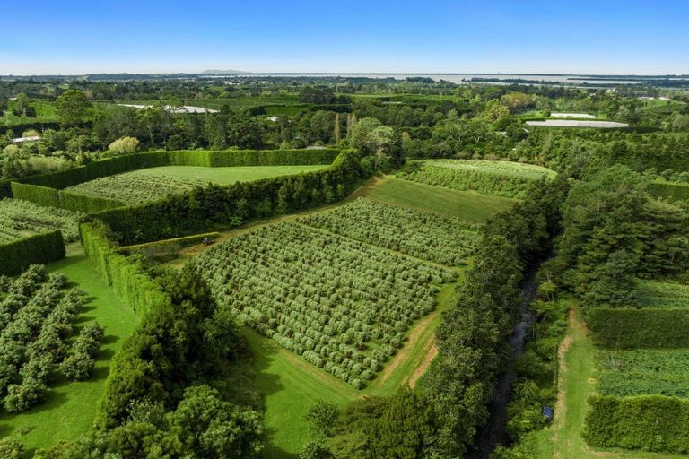 Photo of property in 40 Killen Road, Tahawai, Katikati, 3178