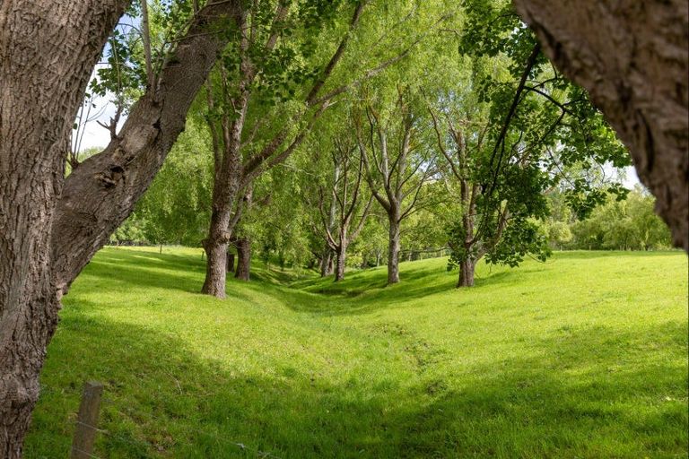 Photo of property in 22 Williams Road, Tokomaru, Palmerston North, 4474