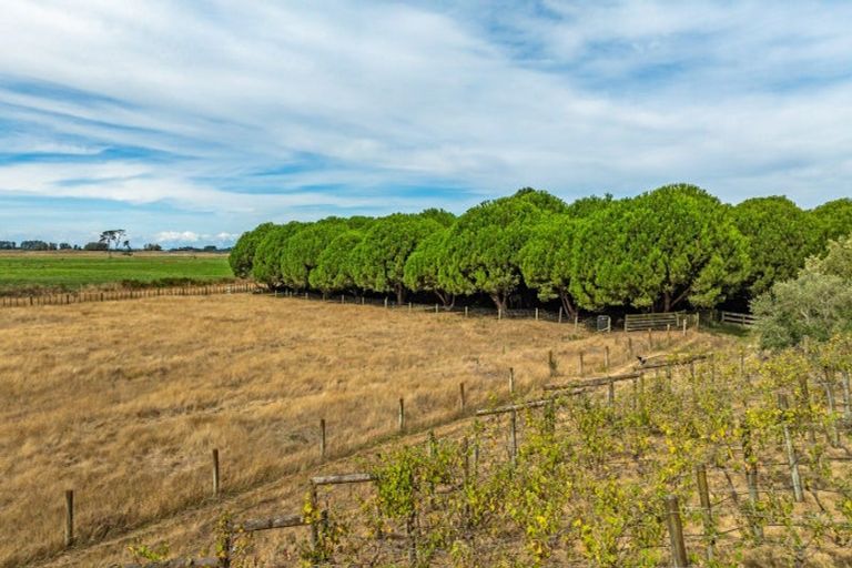 Photo of property in 78 Donnelly Road, Foxton, 4891