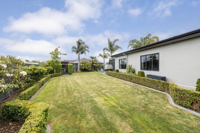 Photo of property in 77 Northwood Avenue, Mahora, Hastings, 4120