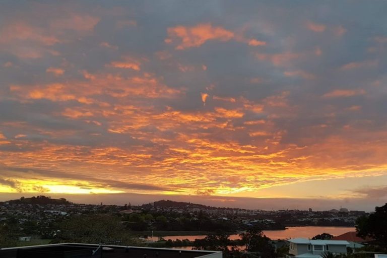 Photo of property in 23 Grace Street, Orakei, Auckland, 1071