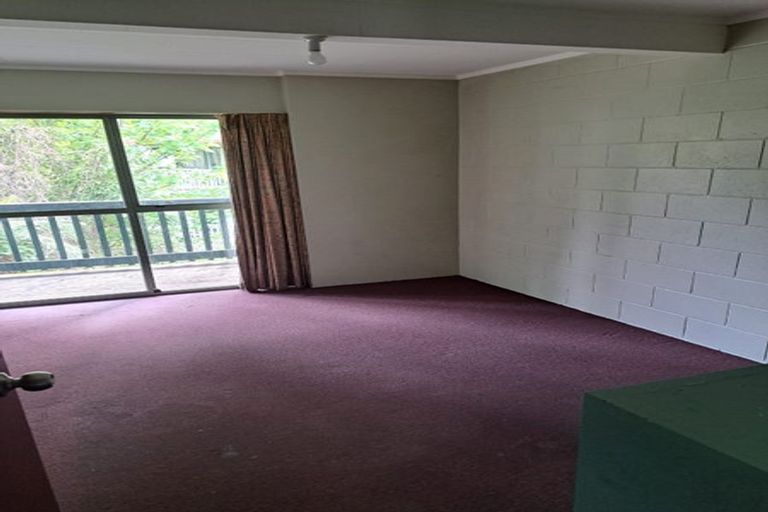 Photo of property in 63 Opoho Road, North East Valley, Dunedin, 9010