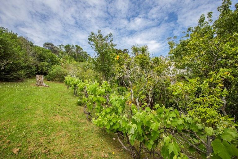 Photo of property in 174 Ti Point Road, Ti Point, Warkworth, 0985