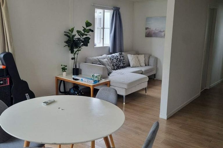 Photo of property in 46 Ivanhoe Road, Grey Lynn, Auckland, 1021