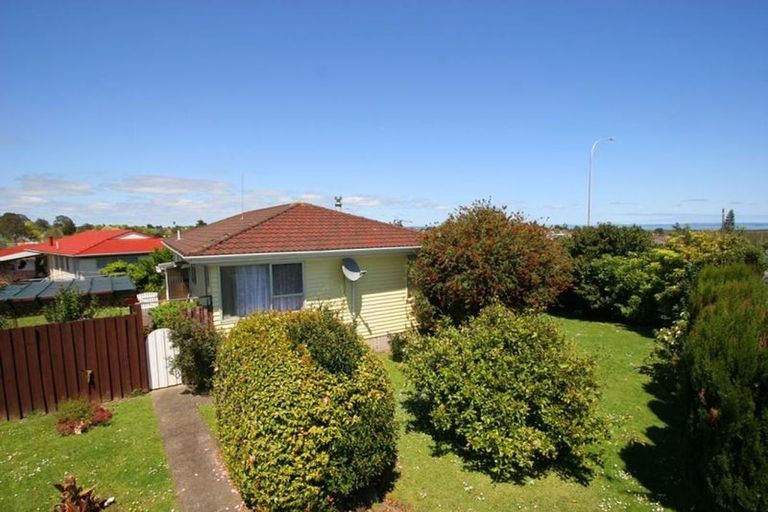Photo of property in 238 Browns Road, Clendon Park, Auckland, 2103