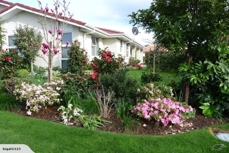 Photo of property in 5 Turnberry Close, Aongatete, Katikati, 3178