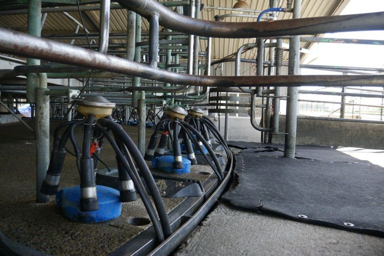 Photo of property in 569 Maunga Road, Dannevirke, 4976