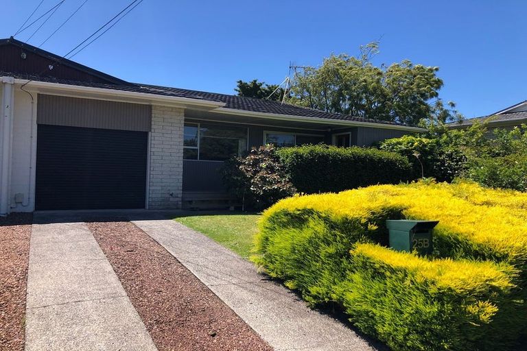 Photo of property in 25b Sillary Street, Hamilton East, Hamilton, 3216