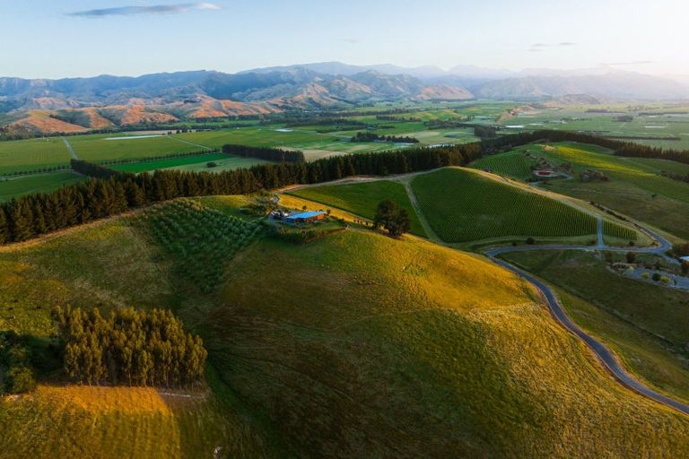 Photo of property in 417 Delta Lake Heights, Renwick, Blenheim, 7271