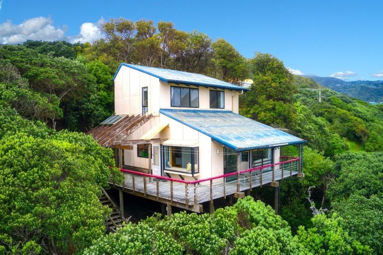 Photo of property in 101 Marine Parade North, Piha, New Lynn, 0772