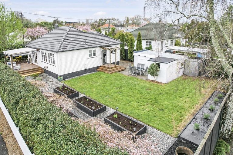 Photo of property in 49 Graham Street, Hamilton East, Hamilton, 3216