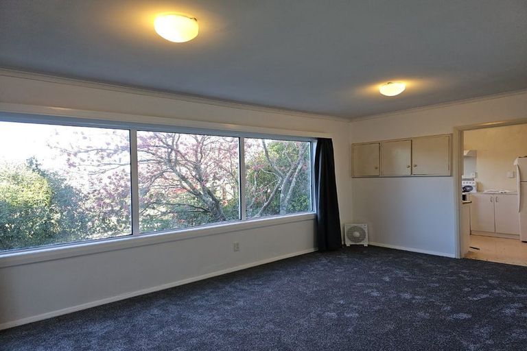 Photo of property in 64 Salamanca Road, Kelburn, Wellington, 6012