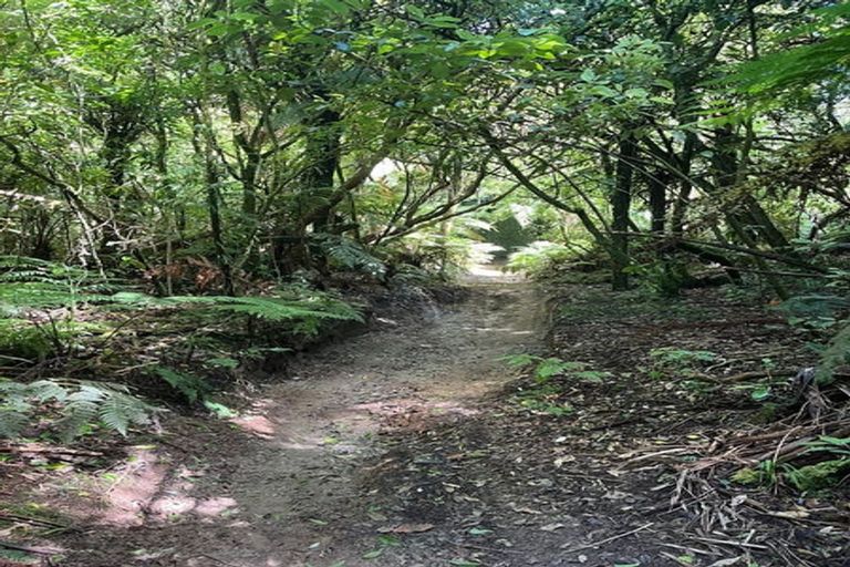 Photo of property in 3b Fort Street, Cambridge, 3434