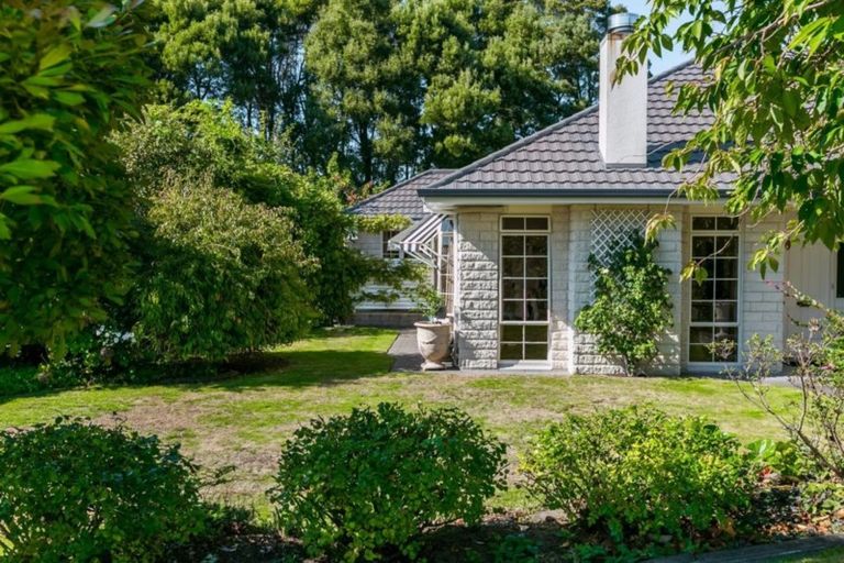 Photo of property in 44 Bethlehem Heights, Bethlehem, Tauranga, 3110