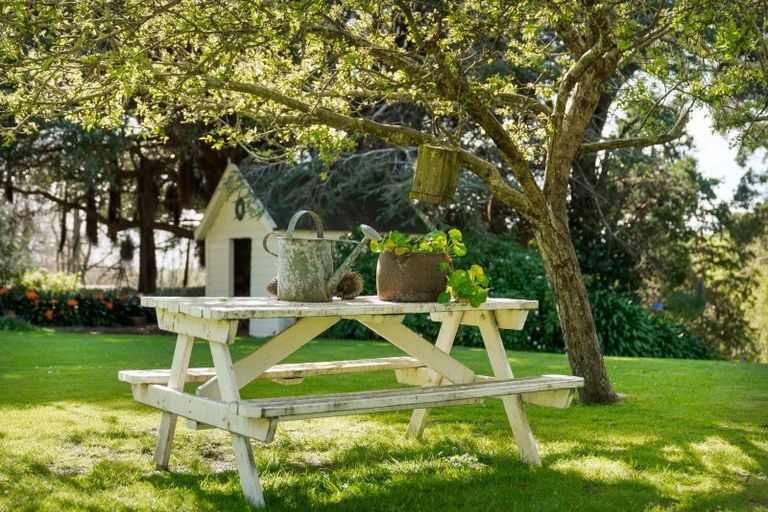 Photo of property in 559 Cape Palliser Road, Whangaimoana, Featherston, 5772