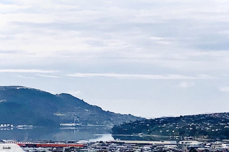 Photo of property in 26 Aberdeen Road, Saint Clair, Dunedin, 9012