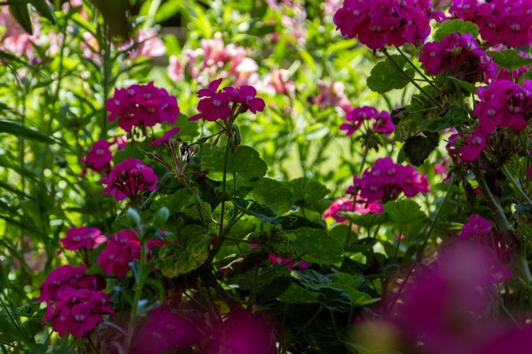 Photo of property in 90-92 Kiwi Road, Raumati Beach, Paraparaumu, 5032