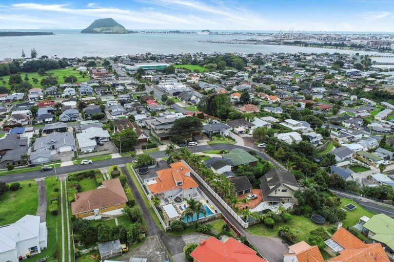 Photo of property in 45 Pillans Road, Otumoetai, Tauranga, 3110