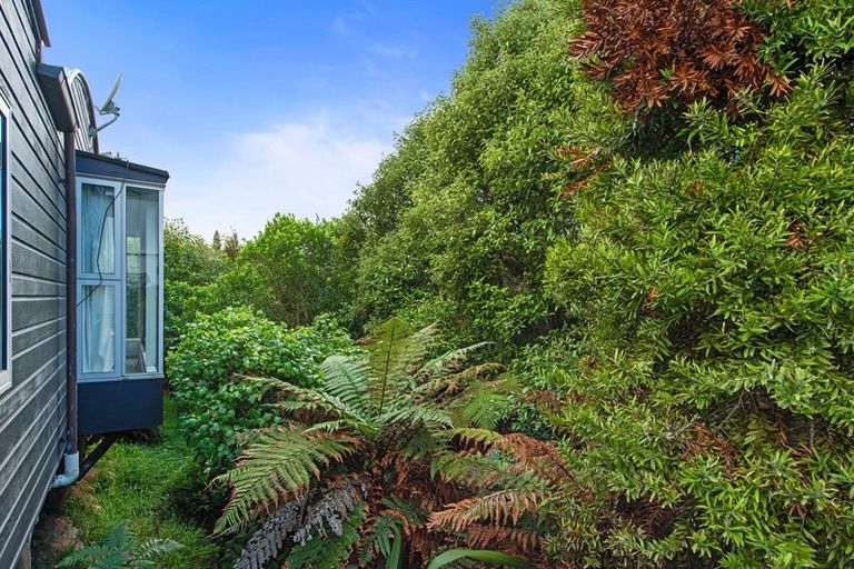 Photo of property in 45 Malcolm Street, Riverlea, Hamilton, 3216