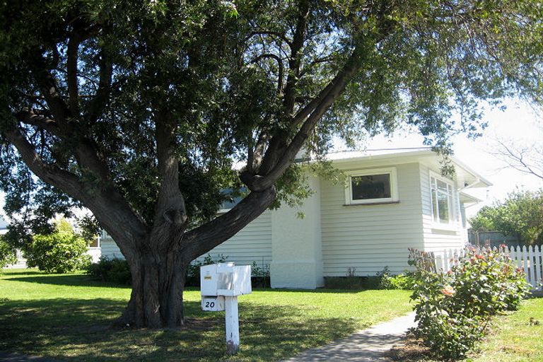 Photo of property in 20 Dunbeath Street, Blenheim, 7201