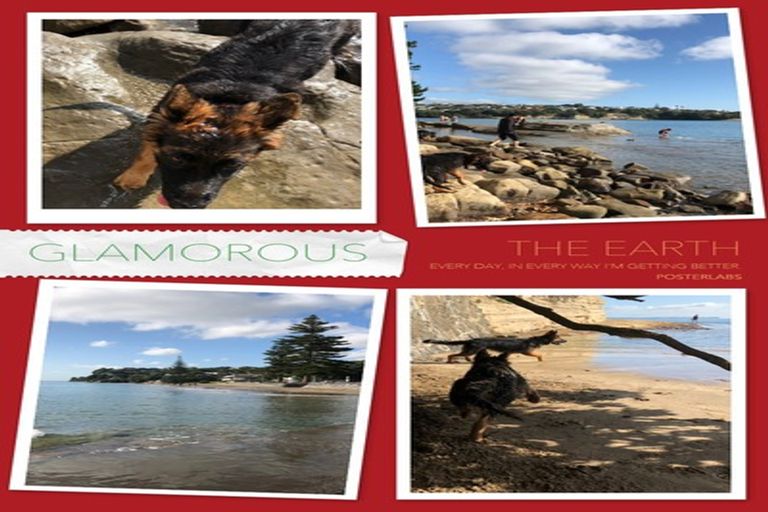 Photo of property in 73 Kowhai Road, Mairangi Bay, Auckland, 0630