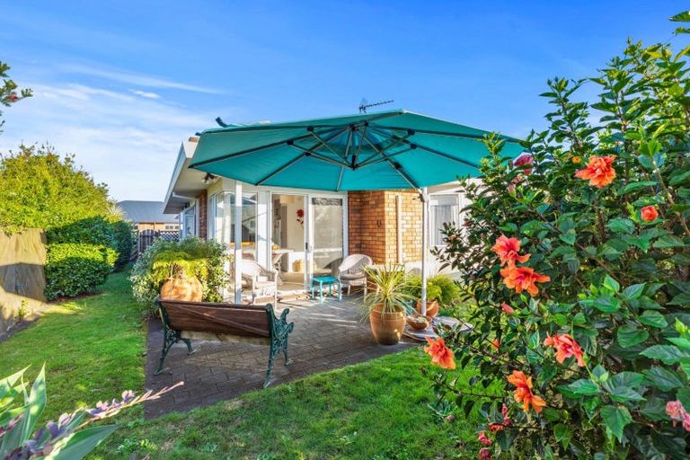 Photo of property in 19 Reilly Avenue, Mount Maunganui, 3116